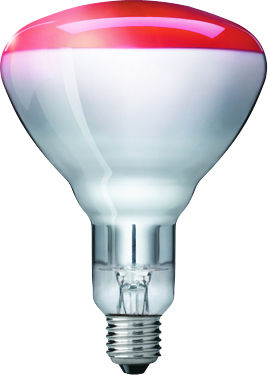 LÄMPÖLAMPPU PHILIPS IR150RH BR125 240V E27 RED