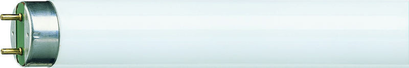 philips Fluorescent lamp t8 philips tl-d 58w/830 g13 pp