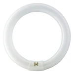 CIRCULAR NEON LAMP TL-E 22W/840 G10Q