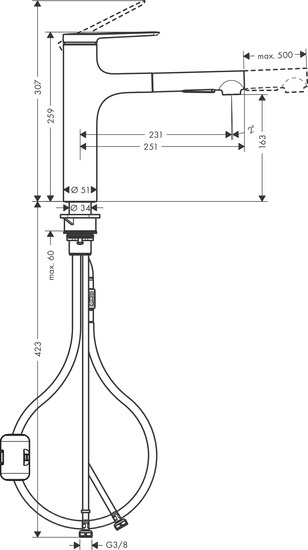 hansgrohe Kitchen mixer hansgrohe 74822000 zesis 160 2jet crome