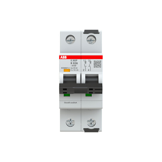 abb smart buildings Dvärgbrytare s300p 2-polig k-karakt.  63a