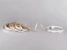 hide-a-lite Ledstrip 230 ip65 h.lum 840 m