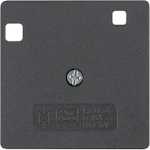 CENTER PLATE S.1 RCD 284401 50X50 ANT