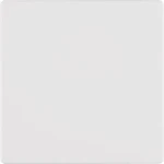 PAINIKE LANGATON KNX Q.1 1OS RF QUICKLINK VAL
