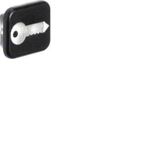 hager Lins nyckel symbol 10st