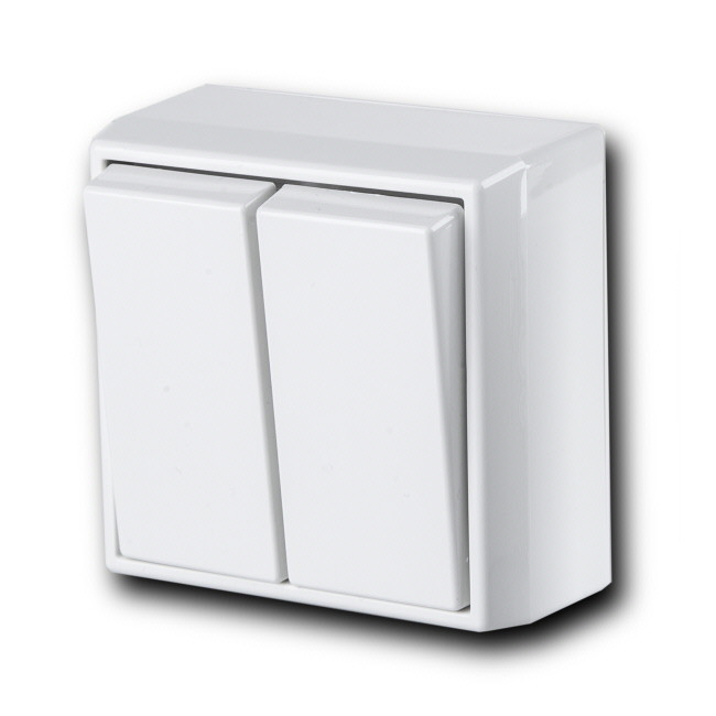 ensto Kytkin intro 5/10a/250v/ip21 ppj li val