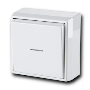 ensto Kytkin intro 6/10a/250v/ip21 ppj li val