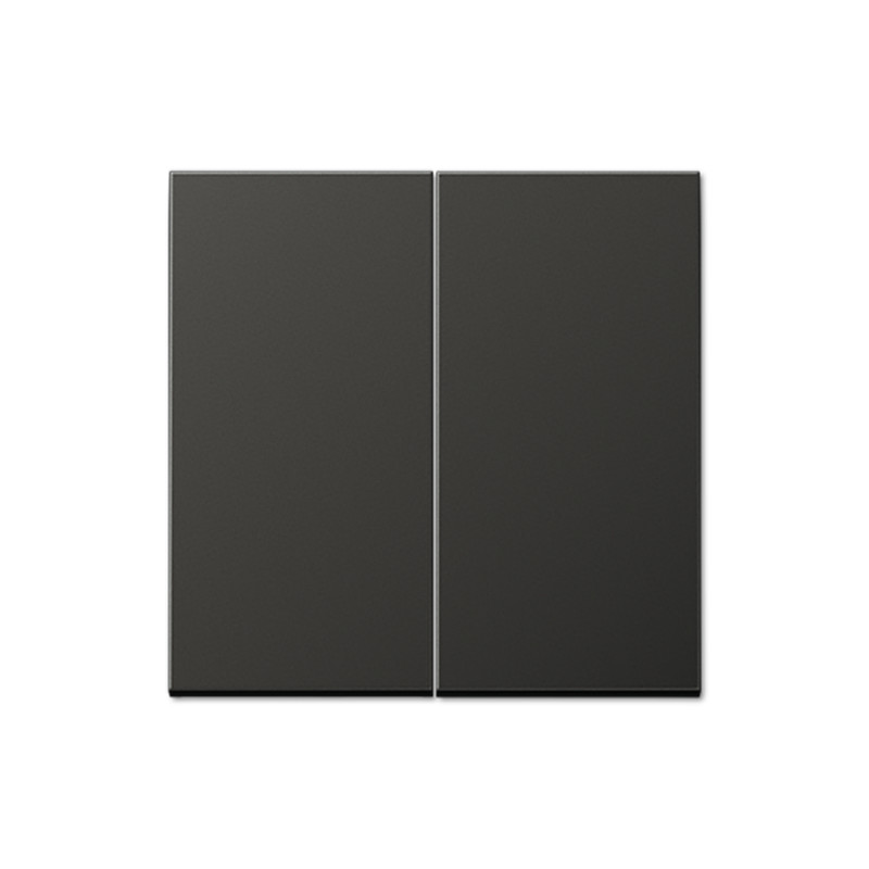 jung Vipu vipu2/ip21 ant