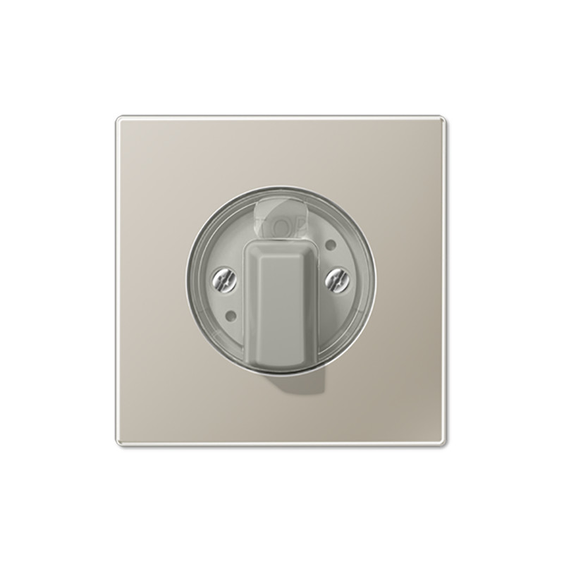 jung Centre plate timer and switch insert, steel