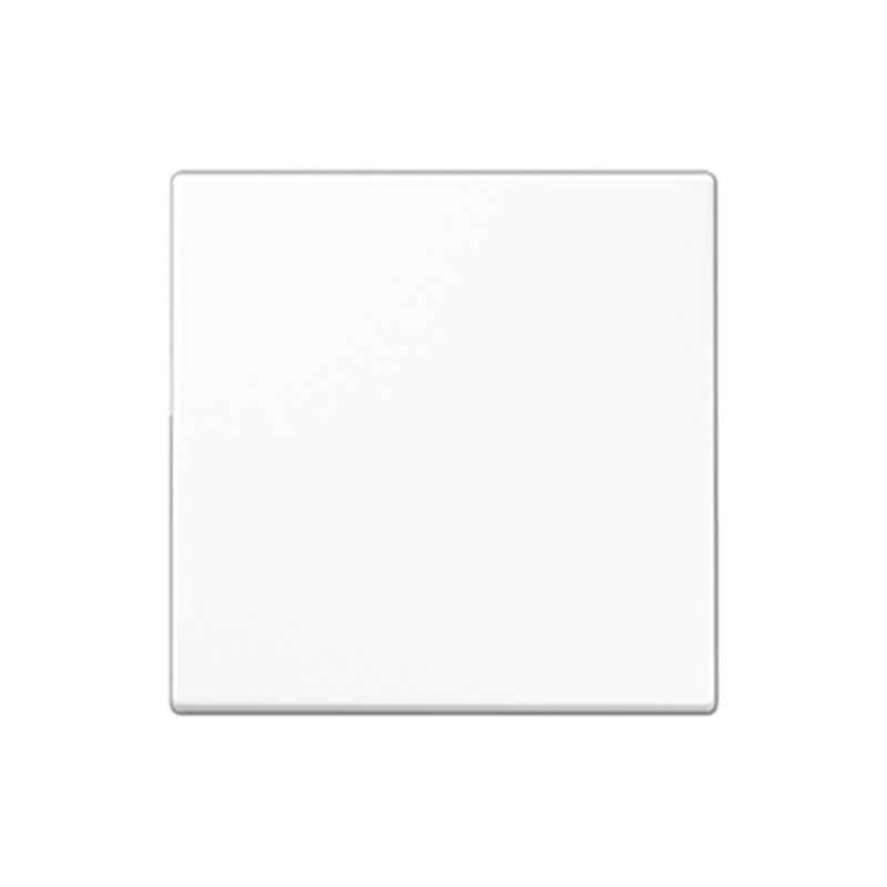 DIMMER POWER DALI INTRO PUSH-B. CONTROLLER TW WH