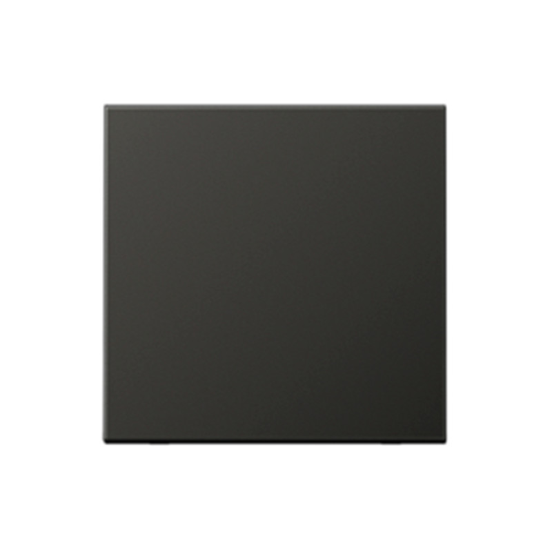 jung Centre plate centre plate anth