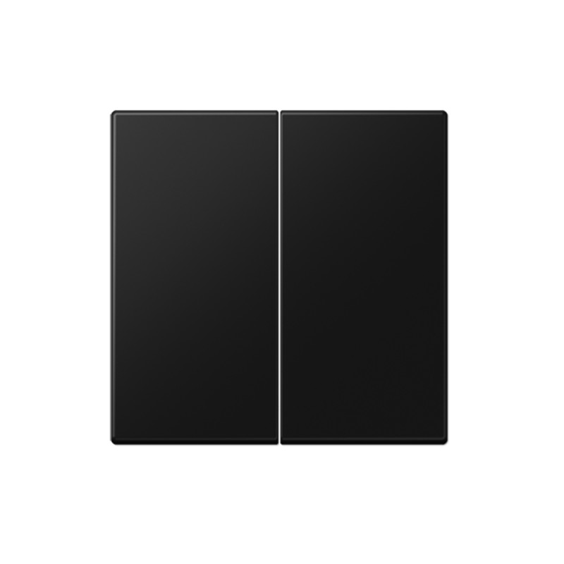 jung Lever 2-gang rocker, matt black