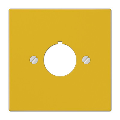 ensto Centre plate centre plate w. hole 22,5mm,ye