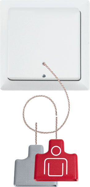 PAINIKE LANGATON ENOCEAN FZS65-WG