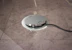 obo bettermann Floor box ges r2 cuzn, messinki, zn