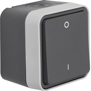 hager Brytare w.1 2/10a/250v/ip55 ppj grå