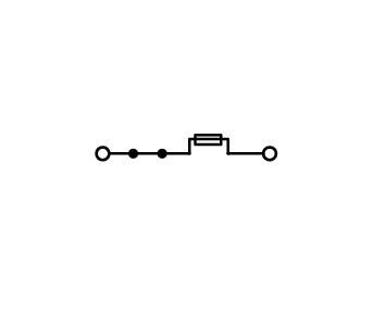 wago Fuse-connector 2-pole, gray