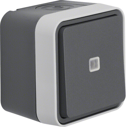 SWITCH W.1 6/10A/250V/IP55 SL PPJ GRAY