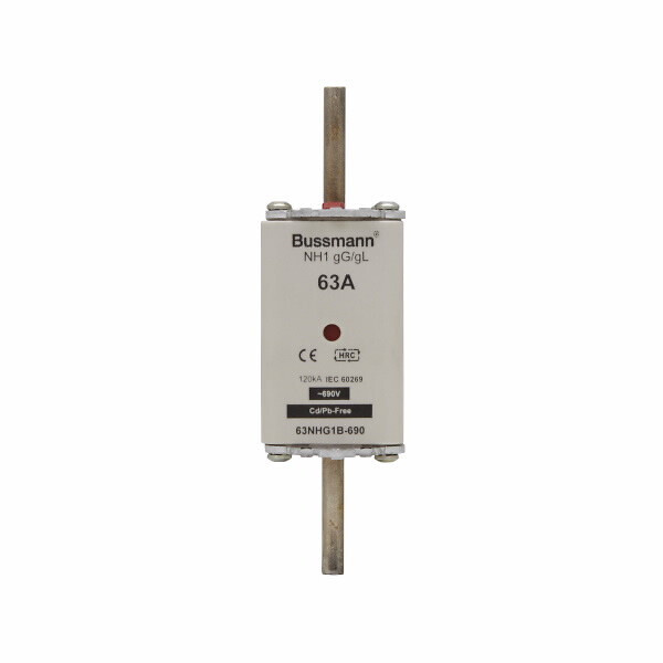 KAHVASULAKE COOPER-BUSSMANN 80NHG1B-690 690VAC GG-GL 80A 1
