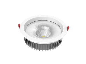 westal Downlight wld-r30