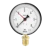onnline Lämpömittari ø63 onnline ø63 0-120°c t1/2 l=40/12mm
