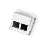 DUCT SOCKET WORKPOINT ADAPTER 2-RJ45 KEYSTONE WHI