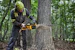 dewalt High powered chainsaw dewalt dcmcs575n 54v 50cm bare