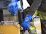 tegera Chemical glove nitrile tegera 7350 size 8