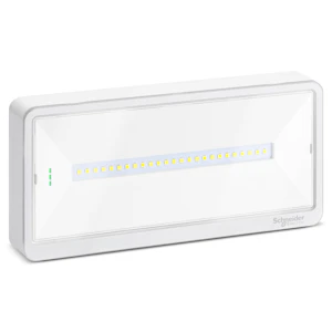 schneider electric Exiway light nødlys activa 250lm 1-3t m/nm ip65 lifepo4