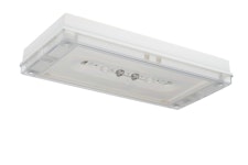 EMERGENCY LUMINAIRE SOLID ZONE TWT3651WK 230V IP65