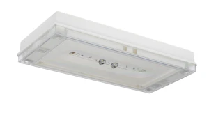 teknoware Emergency luminaire solid line twt4352wm 230 vac ip65 1h