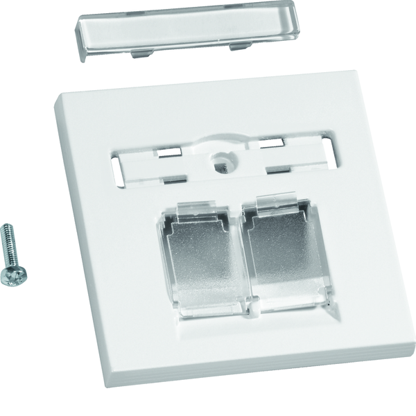 hager Center plate tehalit ecoline gzuae2 hf 2xrj45 lp white