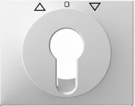 CENTRE PLATE CRT SW/BP. W. OPENING WHITE