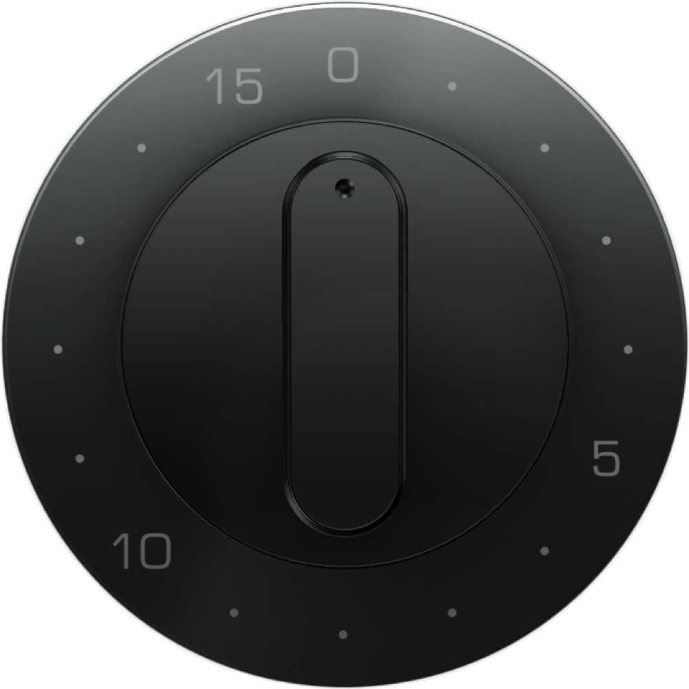 hager Centre plate timer 2040 black
