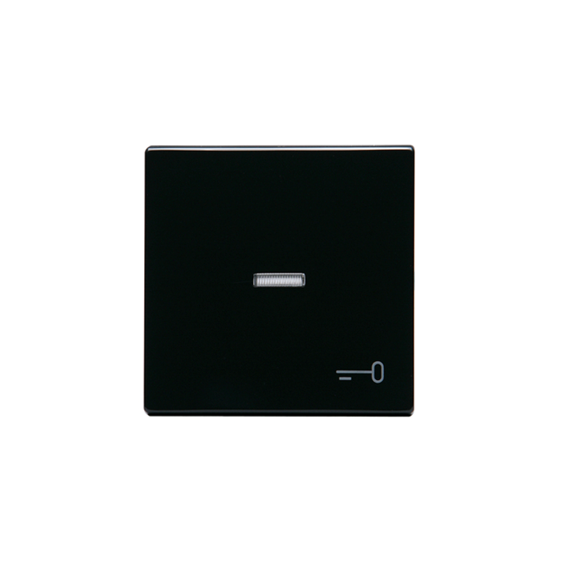 abb Vipu impressivo 1/ip21 li  avain ant