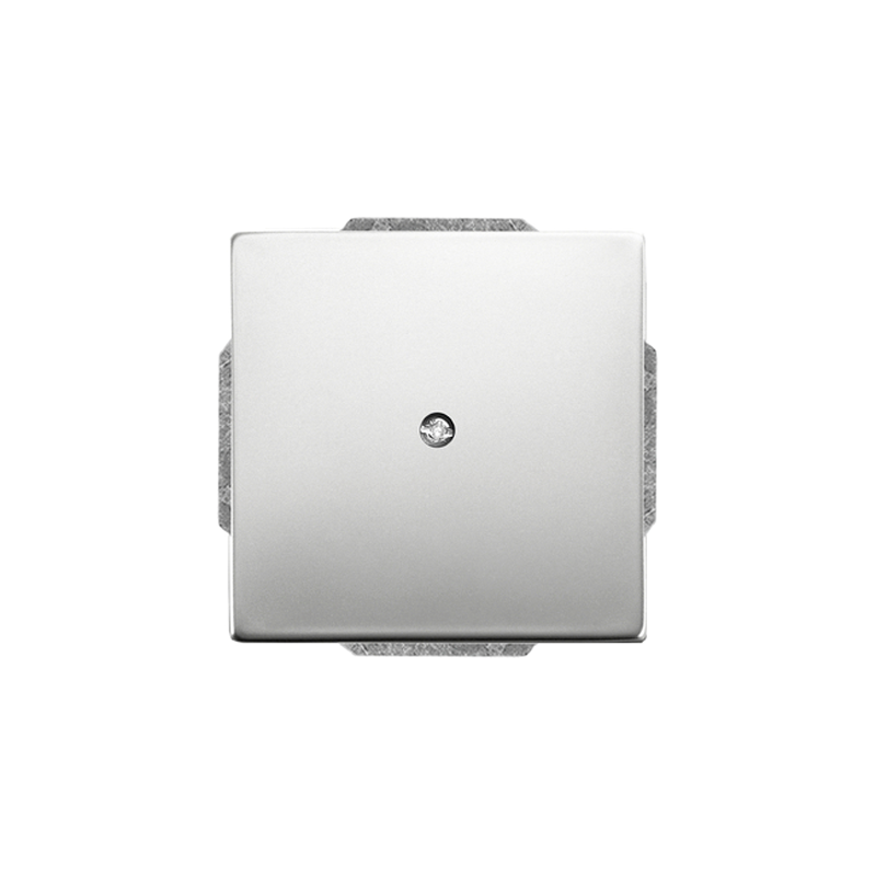 CENTERPLATE 1742-866 BLANK PLATE