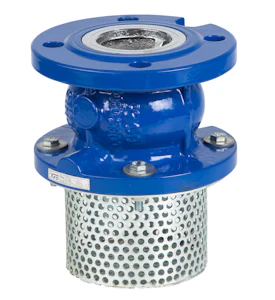 onninen Foot valve gen 2452 dn50 pn16 ci l