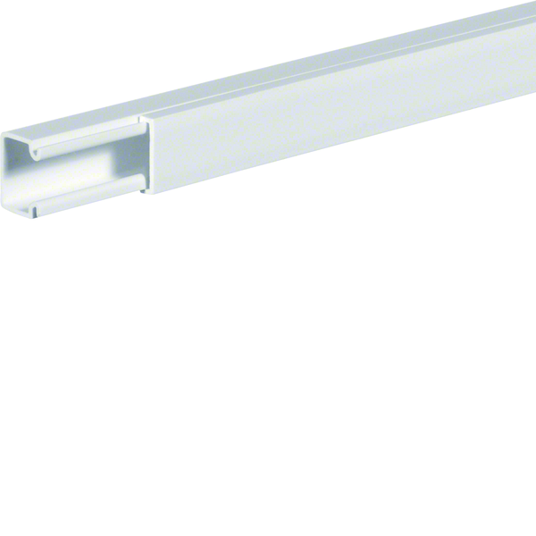 hager Feeding trunking lf10010 pvc 10x10x2000 white