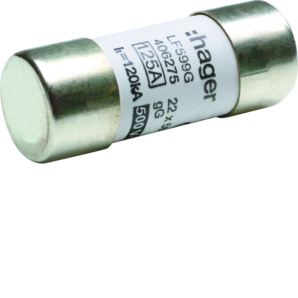 Smeltesikring 22x58mm, 125A gG, 500V