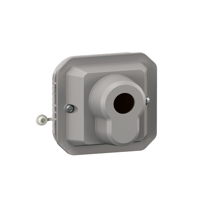 legrand Push-button plexo euro key barrel pu grey mech