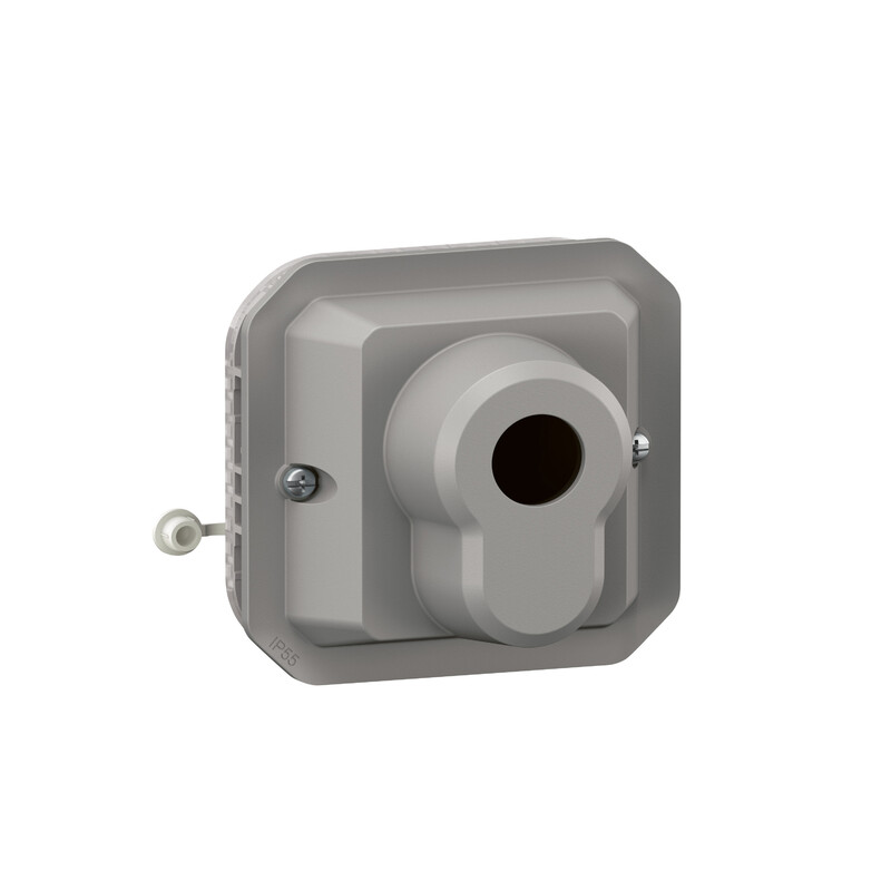 legrand Avbrytare plexo euro key barrel sw grey mech