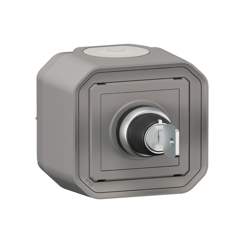 PAINIKE PLEXO Avain 10A IP55 2-nap pinta har