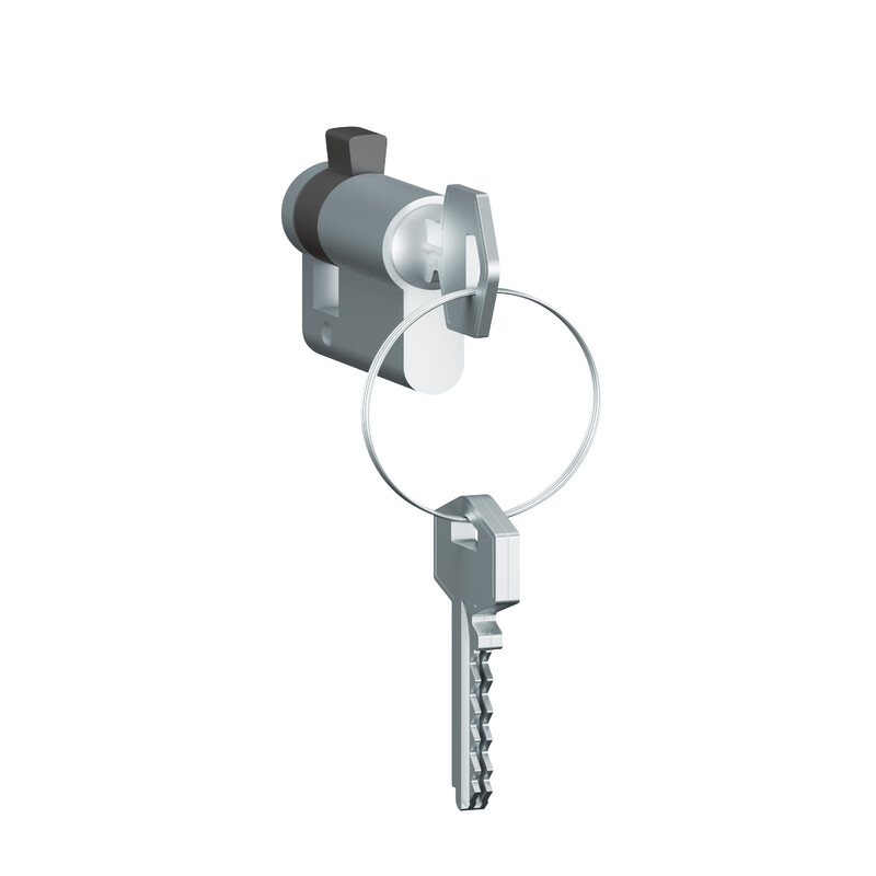 legrand Switch plexo euro lock insert