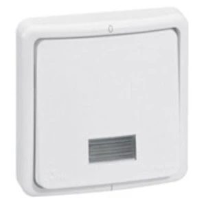 legrand Installationsbox plexo 66 plexo66 fsh.mnt.2p.swt20a neon