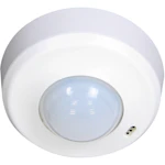 PRESENCE INDICATOR PD2-M-24V-RR-AP