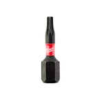 OTSAK TX10 x 25mm 2tk PAKIS