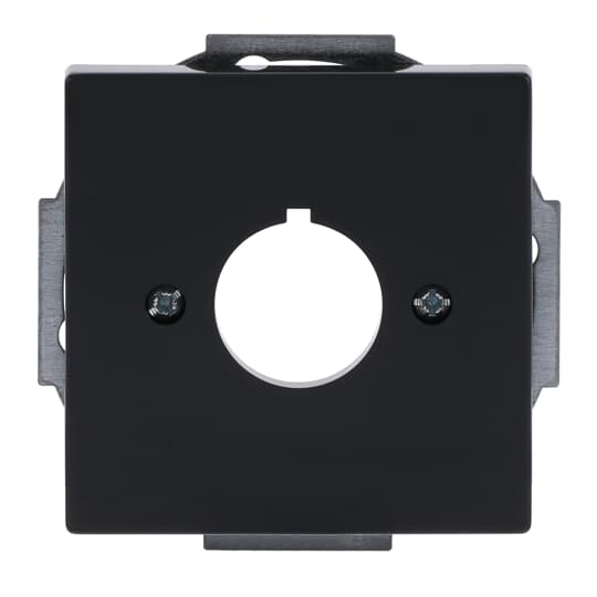 abb Centrumplatta 22,5mm antr