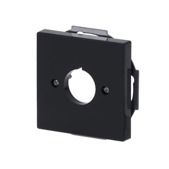 abb Centrumplatta 22,5mm antr