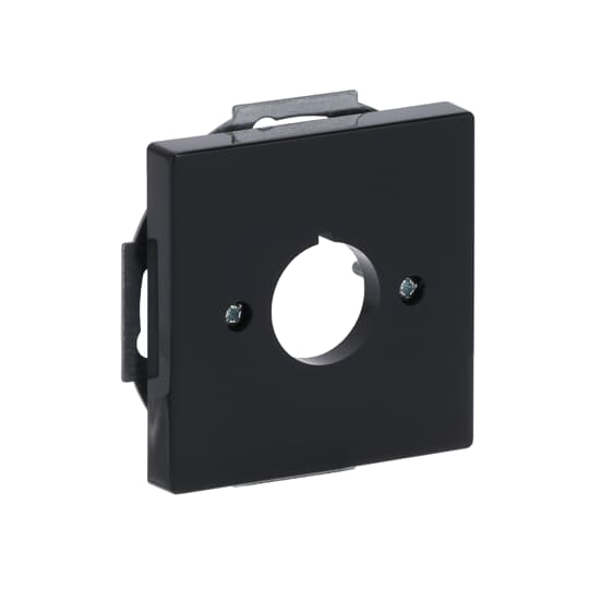 abb Centrumplatta 22,5mm antr