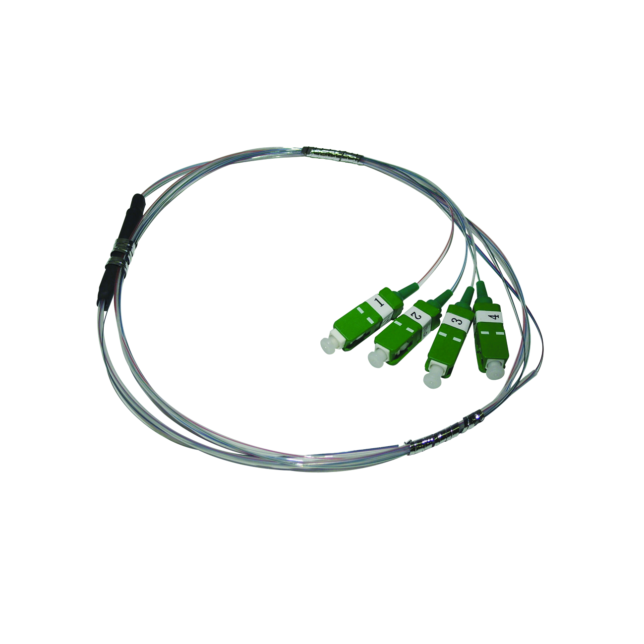 FAN-OUT 4SM SC/APC .